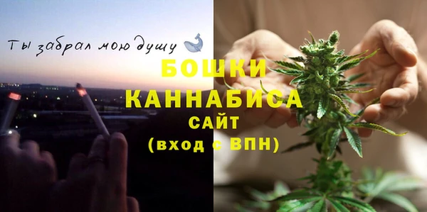 крисы Сясьстрой