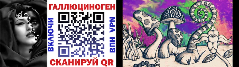 Псилоцибиновые грибы GOLDEN TEACHER  Краснознаменск 